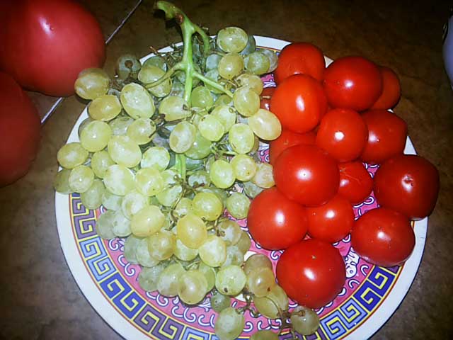 pomidory-vinograd