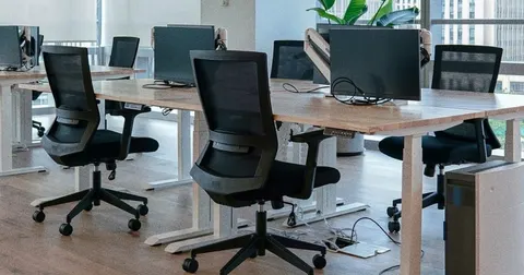 Жінки та випускники найбільше ризикують втратити роботу через ШІ – звіт уряду Австралії
