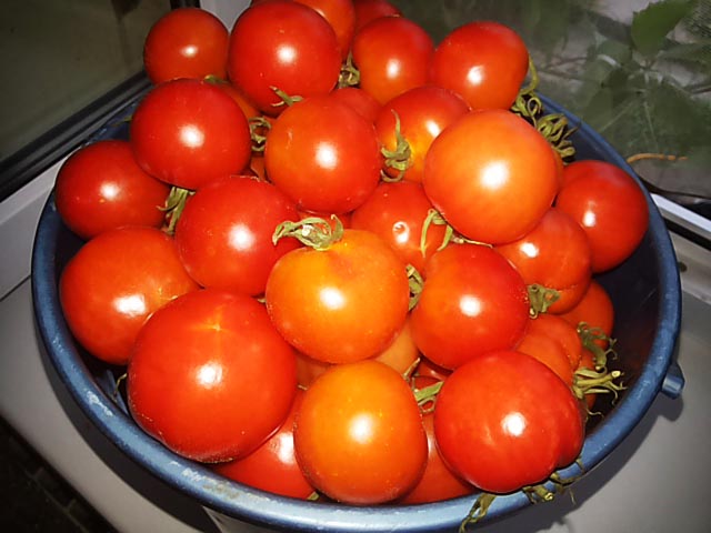 pomidory-v-zhelatine-na-zimu18