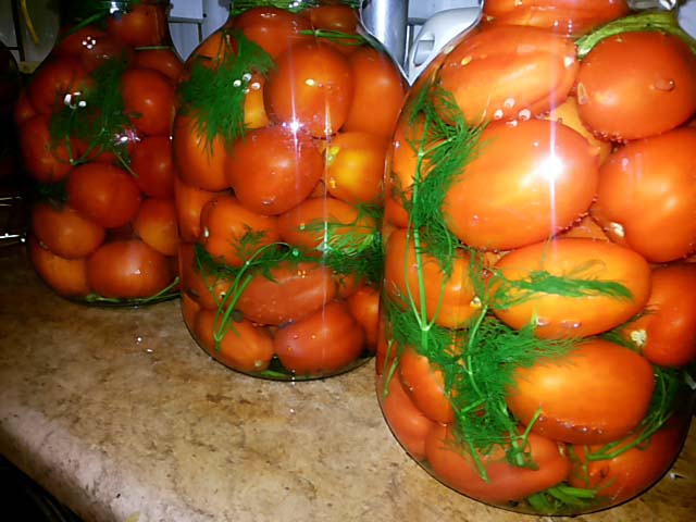 pomidory-banka